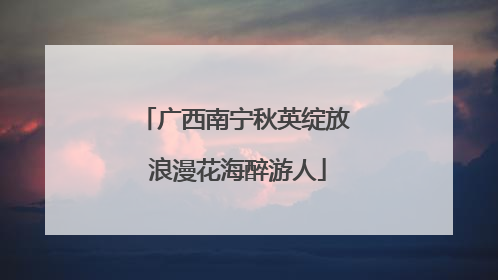 广西南宁秋英绽放 浪漫花海醉游人