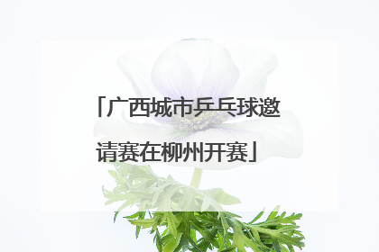 广西城市乒乓球邀请赛在柳州开赛