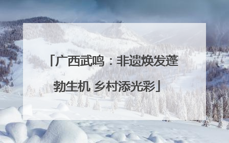 广西武鸣：非遗焕发蓬勃生机 乡村添光彩