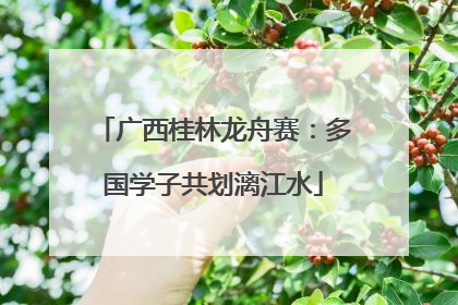 广西桂林龙舟赛：多国学子共划漓江水