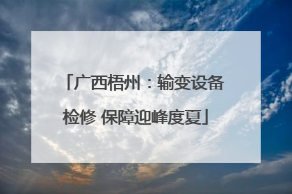 广西梧州：输变设备检修 保障迎峰度夏