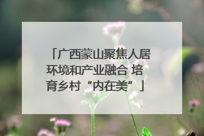 广西蒙山聚焦人居环境和产业融合 培育乡村“内在美”