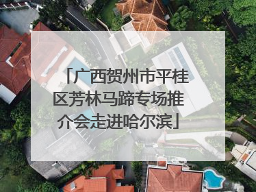 广西贺州市平桂区芳林马蹄专场推介会走进哈尔滨
