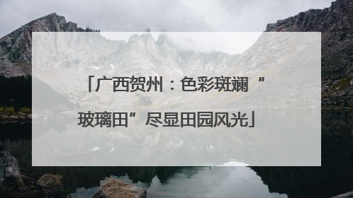 广西贺州：色彩斑斓“玻璃田”尽显田园风光