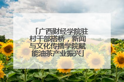 广西财经学院驻村干部搭桥，新闻与文化传播学院赋能油茶产业振兴