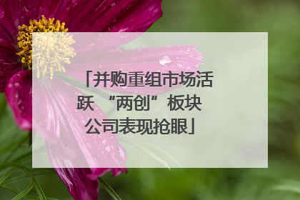 并购重组市场活跃 “两创”板块公司表现抢眼