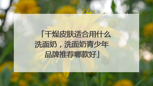干燥皮肤适合用什么洗面奶，洗面奶青少年品牌推荐哪款好