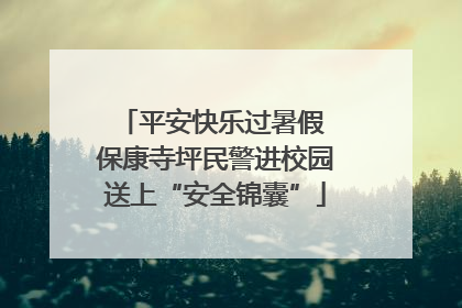 平安快乐过暑假 保康寺坪民警进校园送上“安全锦囊”