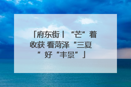 府东街丨“芒”着收获 看菏泽“三夏”好“丰景”