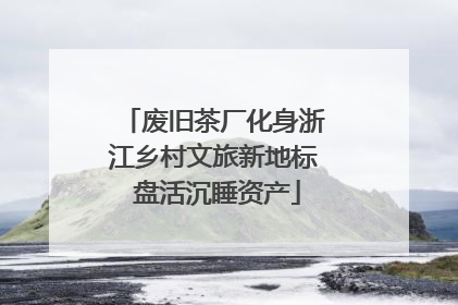 废旧茶厂化身浙江乡村文旅新地标 盘活沉睡资产
