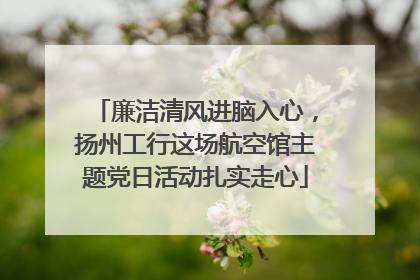 廉洁清风进脑入心，扬州工行这场航空馆主题党日活动扎实走心