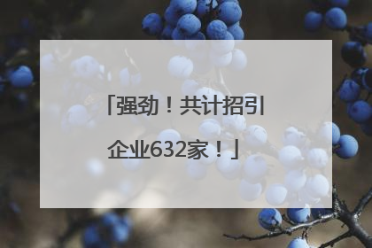 强劲！共计招引企业632家！