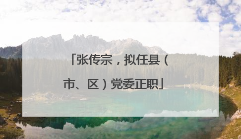 张传宗，拟任县（市、区）党委正职
