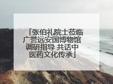 张伯礼院士莅临广誉远安国博物馆调研指导 共话中医药文化传承