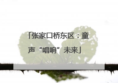 张家口桥东区：童声“唱响”未来