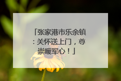 张家港市乐余镇：关怀送上门，尊崇暖军心！