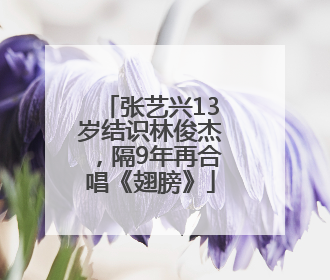 张艺兴13岁结识林俊杰，隔9年再合唱《翅膀》