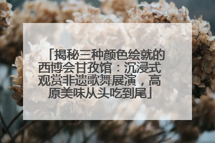 揭秘三种颜色绘就的西博会甘孜馆：沉浸式观赏非遗歌舞展演，高原美味从头吃到尾