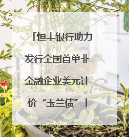 恒丰银行助力发行全国首单非金融企业美元计价“玉兰债”
