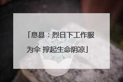 息县：烈日下工作服为伞 撑起生命阴凉