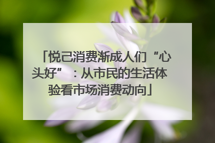 悦己消费渐成人们“心头好”：从市民的生活体验看市场消费动向