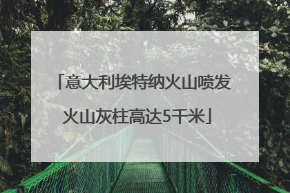 意大利埃特纳火山喷发 火山灰柱高达5千米