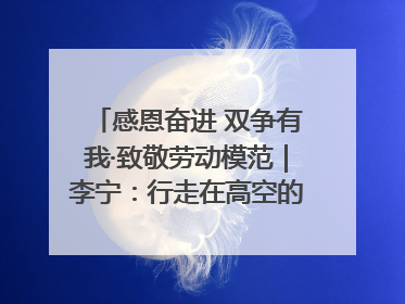 感恩奋进 双争有我·致敬劳动模范｜李宁：行走在高空的“电网卫士”