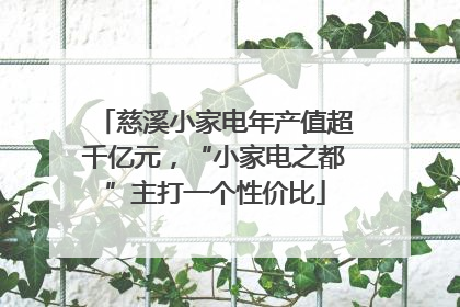 慈溪小家电年产值超千亿元，“小家电之都”主打一个性价比