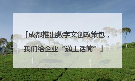 成都推出数字文创政策包，我们给企业“递上话筒”