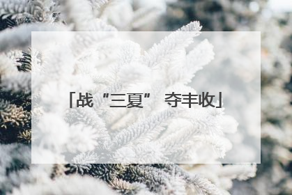战“三夏” 夺丰收