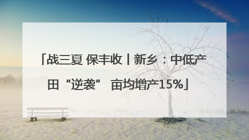 战三夏 保丰收丨新乡：中低产田“逆袭” 亩均增产15%