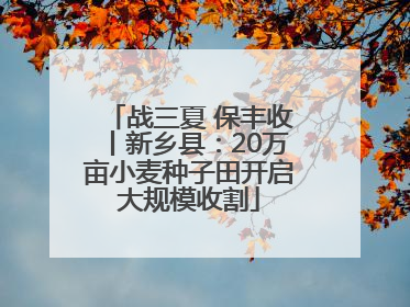 战三夏 保丰收丨新乡县：20万亩小麦种子田开启大规模收割