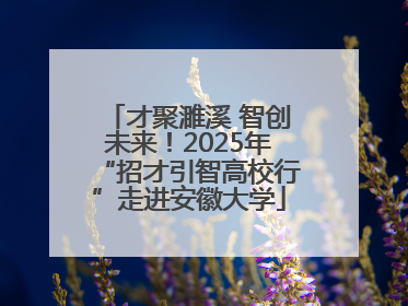 才聚濉溪 智创未来！2025年“招才引智高校行”走进安徽大学