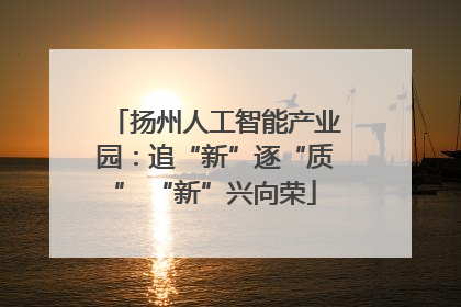 扬州人工智能产业园：追“新”逐“质” “新”兴向荣