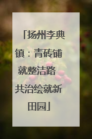 扬州李典镇：青砖铺就整洁路 共治绘就新田园