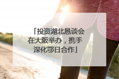 投资湖北恳谈会在大阪举办，携手深化鄂日合作