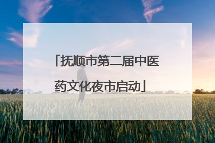 抚顺市第二届中医药文化夜市启动