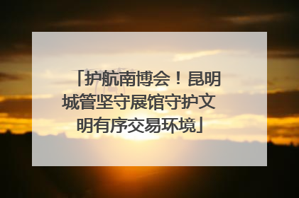 护航南博会！昆明城管坚守展馆守护文明有序交易环境