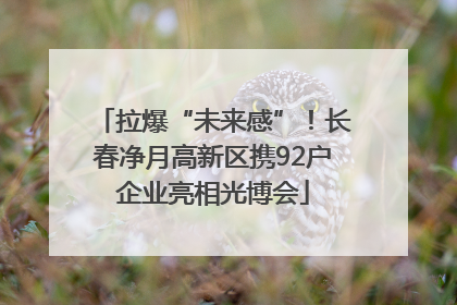 拉爆“未来感”！长春净月高新区携92户企业亮相光博会