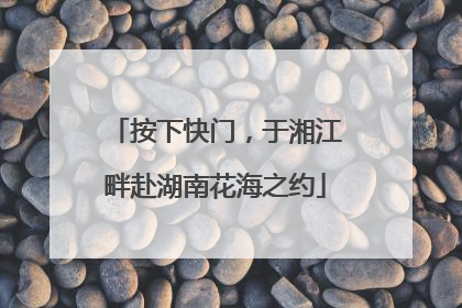 按下快门，于湘江畔赴湖南花海之约