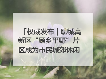 权威发布｜聊城高新区“顾乡平野”片区成为市民城郊休闲全新目的地