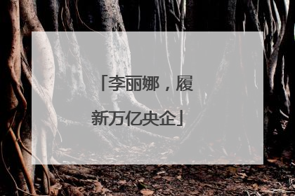 李丽娜，履新万亿央企