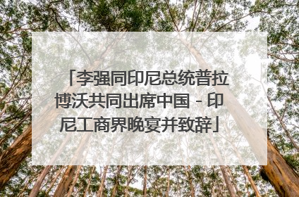 李强同印尼总统普拉博沃共同出席中国－印尼工商界晚宴并致辞