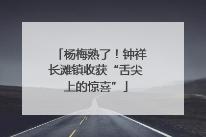 杨梅熟了！钟祥长滩镇收获“舌尖上的惊喜”