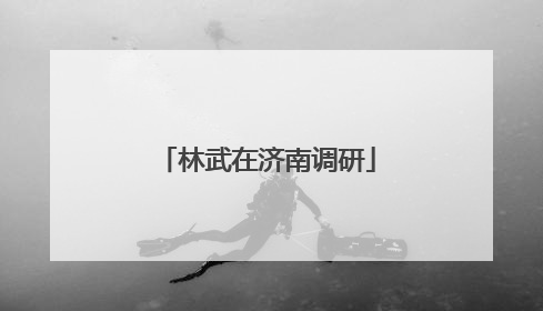 林武在济南调研