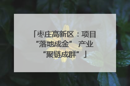 枣庄高新区：项目“落地成金” 产业“聚链成群”