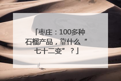 枣庄：100多种石榴产品，靠什么“七十二变”？