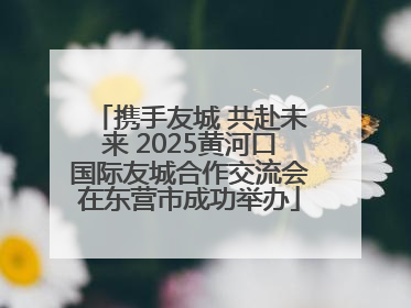 携手友城 共赴未来 2025黄河口国际友城合作交流会在东营市成功举办
