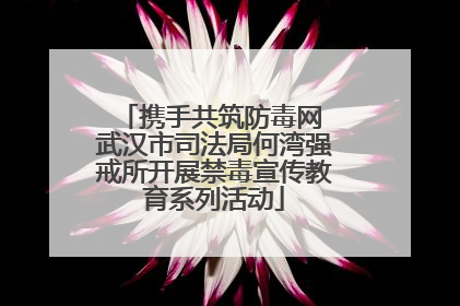 携手共筑防毒网 武汉市司法局何湾强戒所开展禁毒宣传教育系列活动