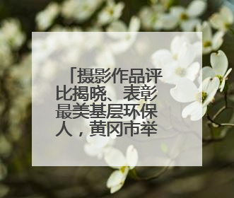 摄影作品评比揭晓、表彰最美基层环保人，黄冈市举办“美丽中国我先行”六五环境日主题宣传活动